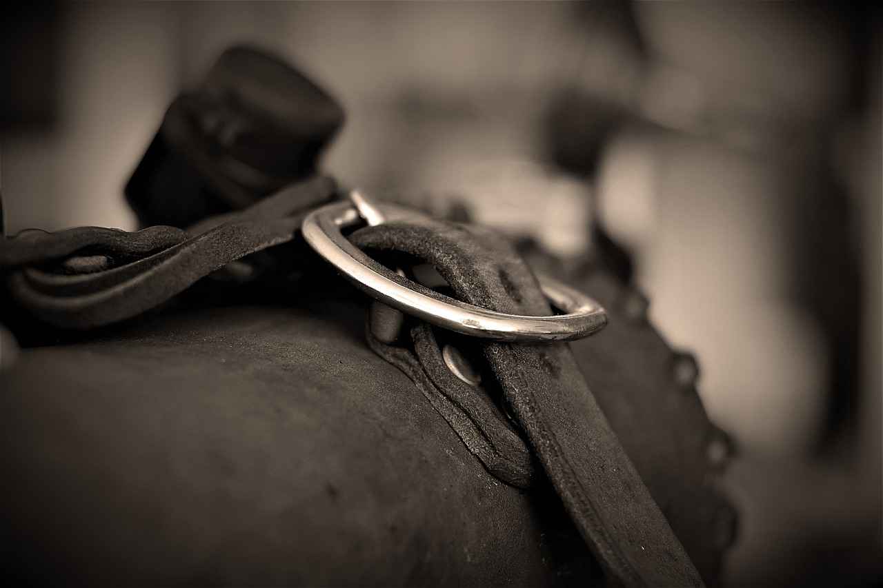 Are Honda Accord All Wheel Drive? 8 Safety Features of AWD in Honda Accord