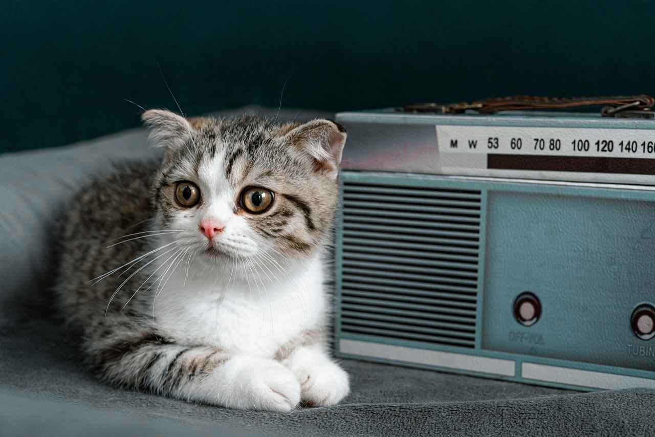 Alternative Methods to Reset Your Honda Accord Radio