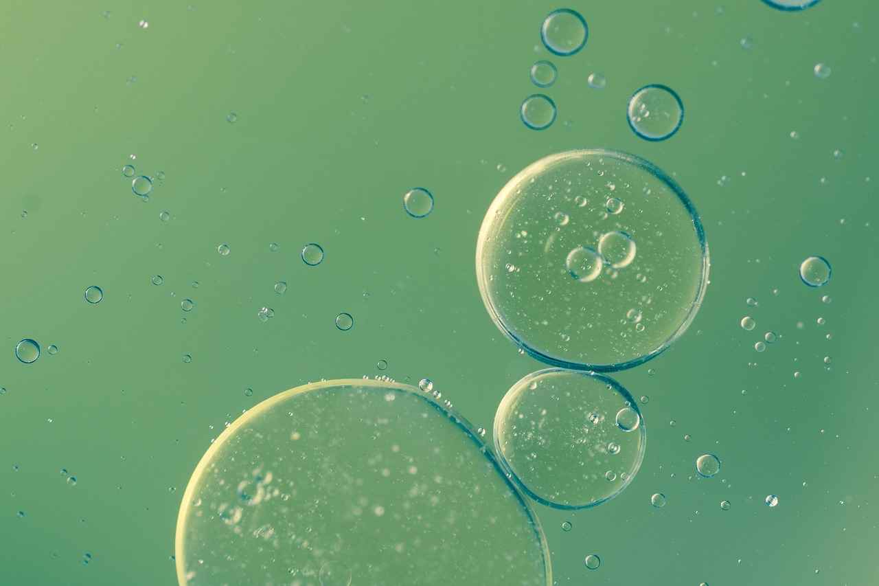 Why is Checking Transmission Fluid Important?