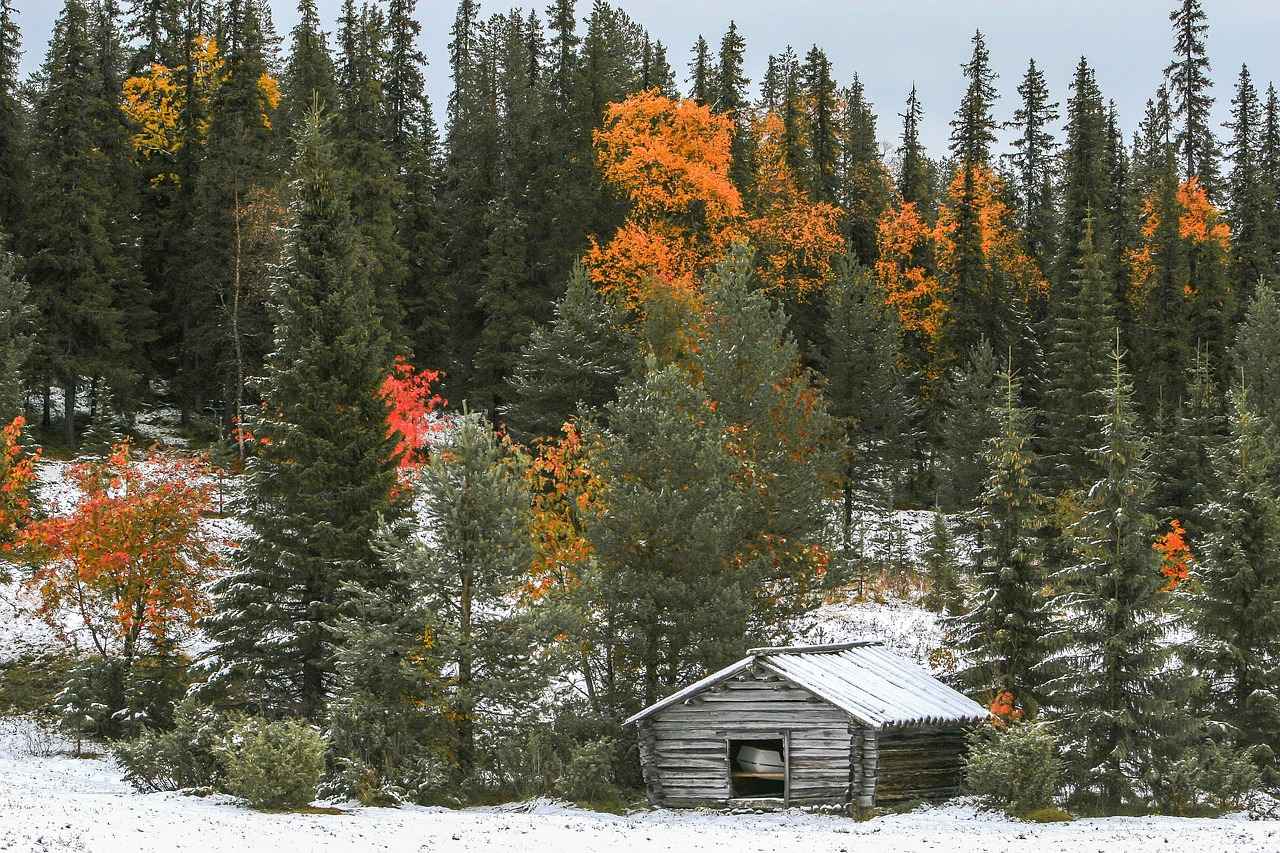 Why Replace Your Cabin Air Filter?