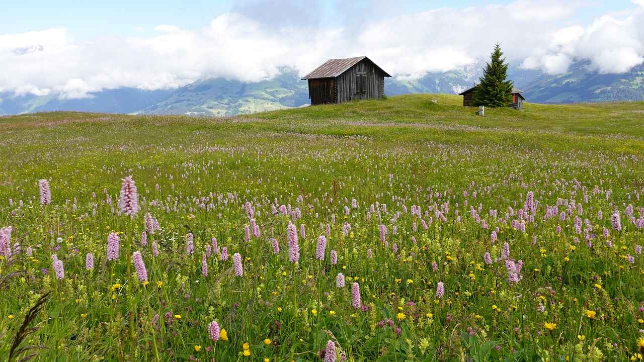 Why Replace Your Cabin Air Filter?