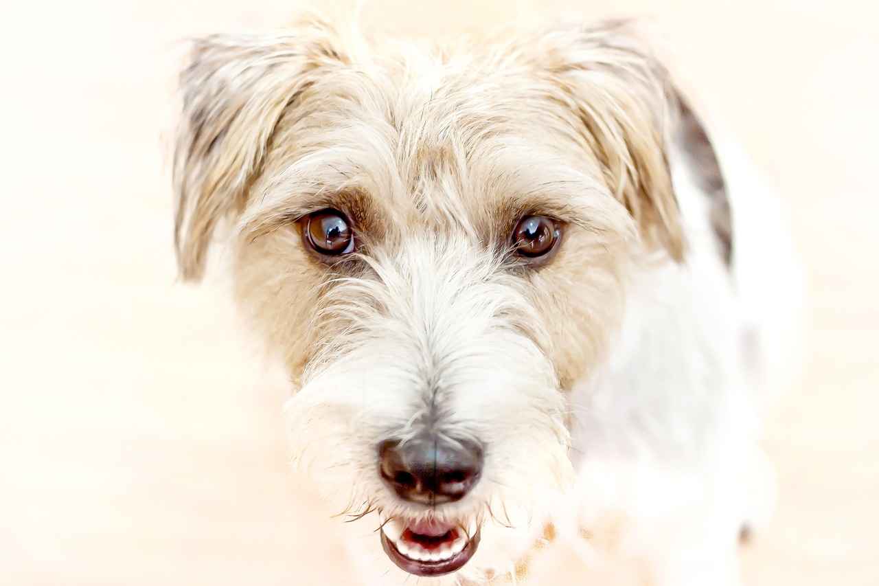 How Do You Know If Your Key Fob Needs Reprogramming?