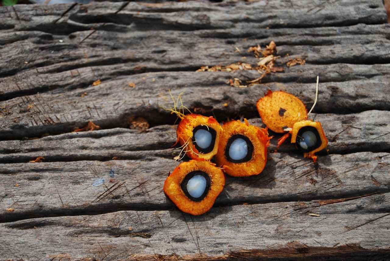 When Should You Reset the Oil Change Light?