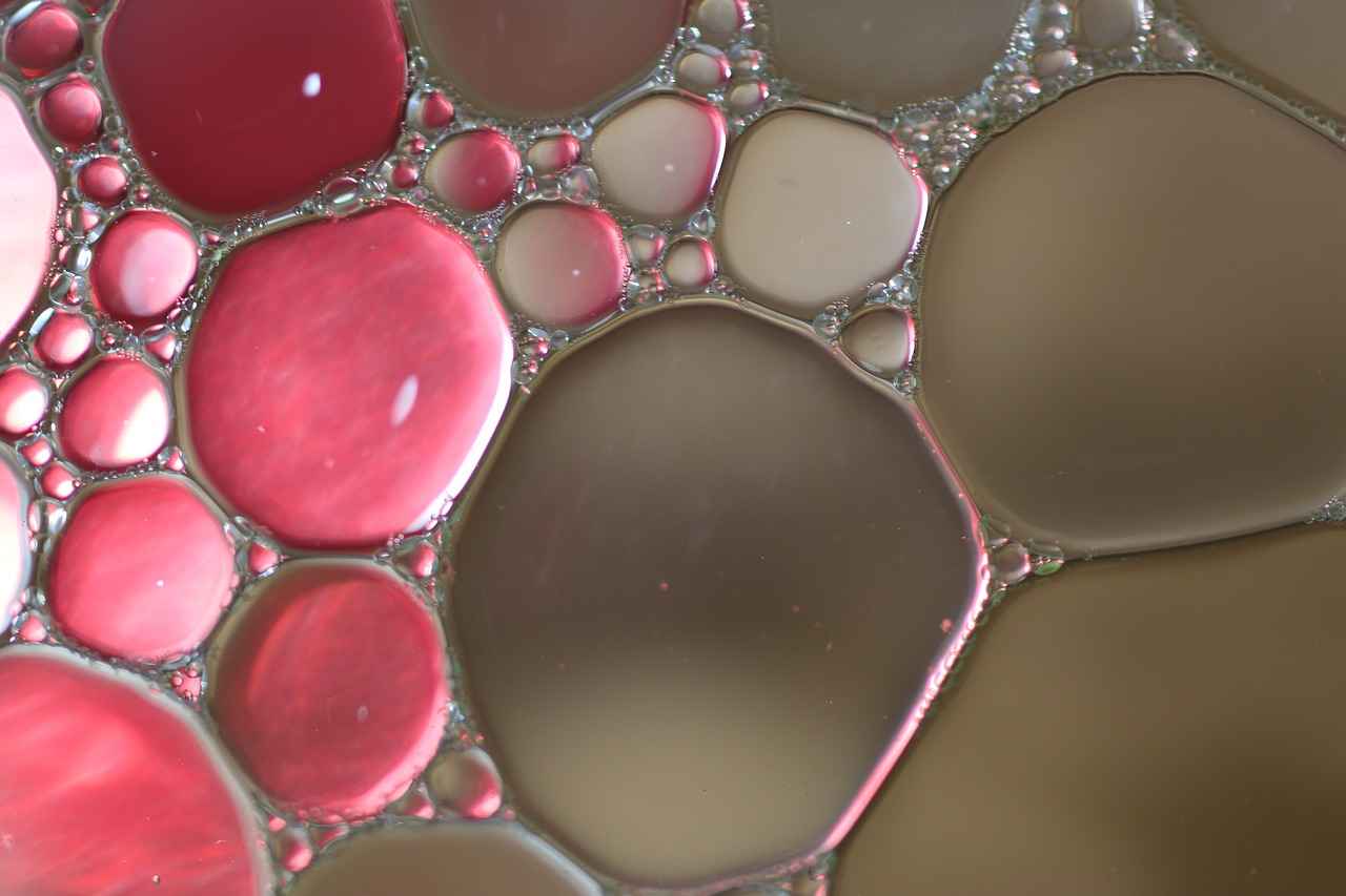 How to Reset Oil Gauge on Honda Accord 4 Step-by-Step Guide to Resetting the Oil Gauge