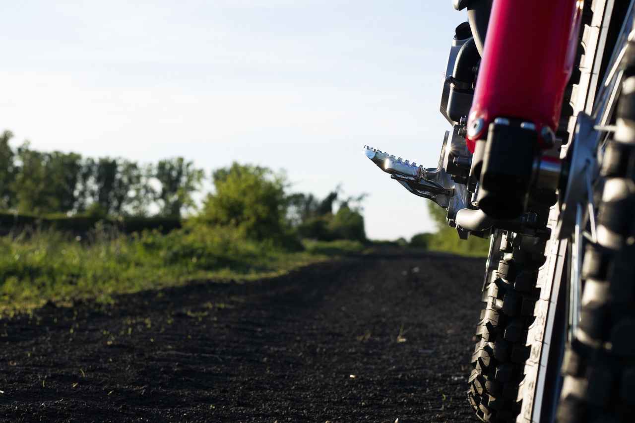 Step-by-Step Guide to Resetting Oil Life