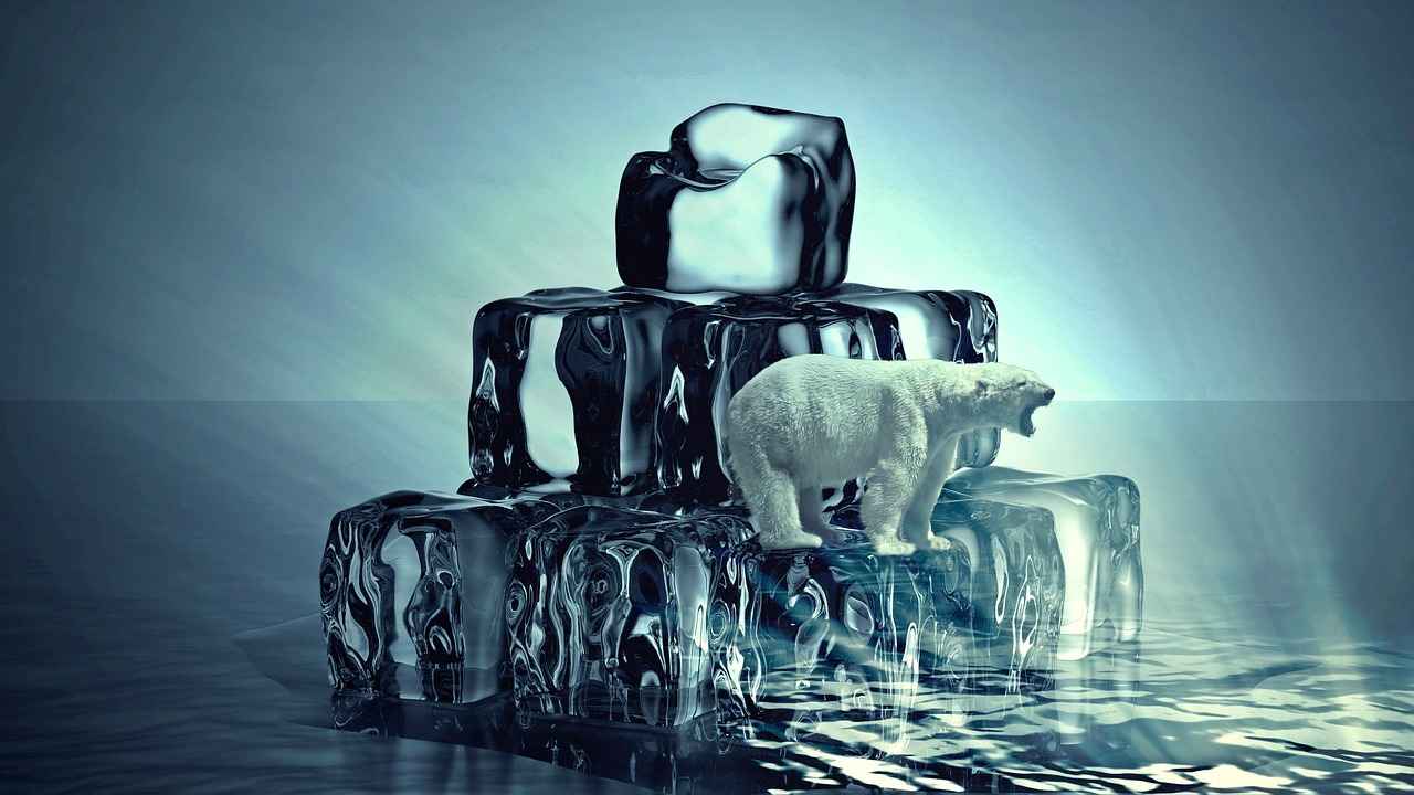 How Often Should You Reset Oil Life?