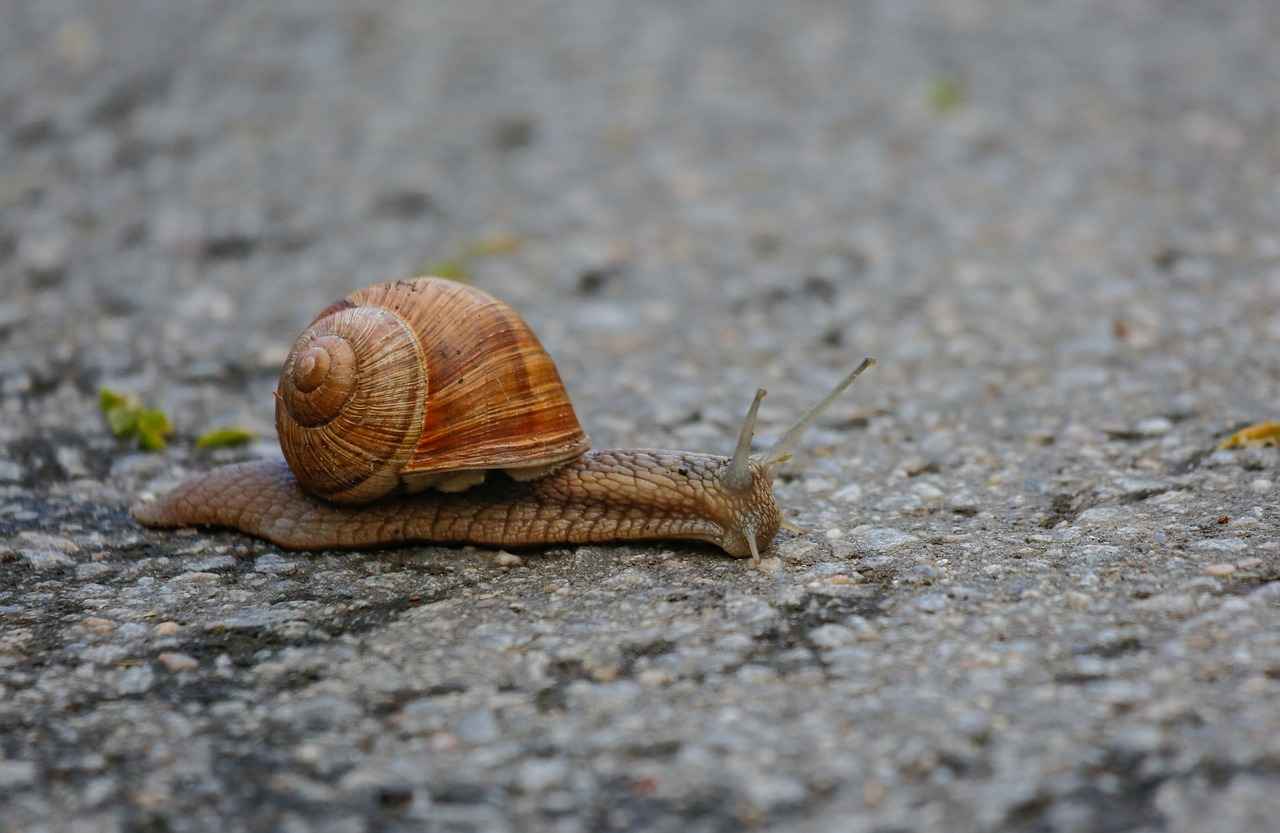 Signs Your Tire Pressure Sensor Needs Resetting