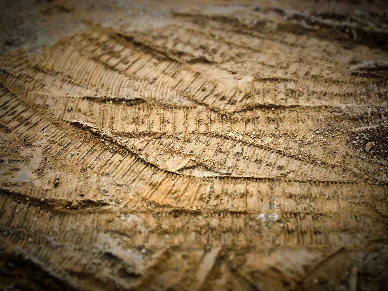 How to See Tire Pressure on Honda Accord 4 How to Inflate Tires Properly